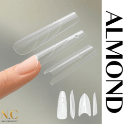 מארז 240 יח' - טיפסים סנדוויץ | שקד ALMOND | נייל קריאטיביטי